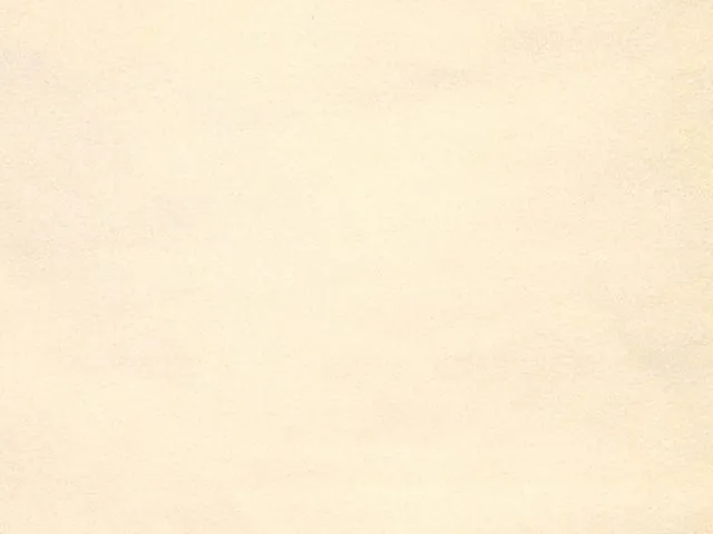 Hussen für SKA Sitz 1100 Comfort